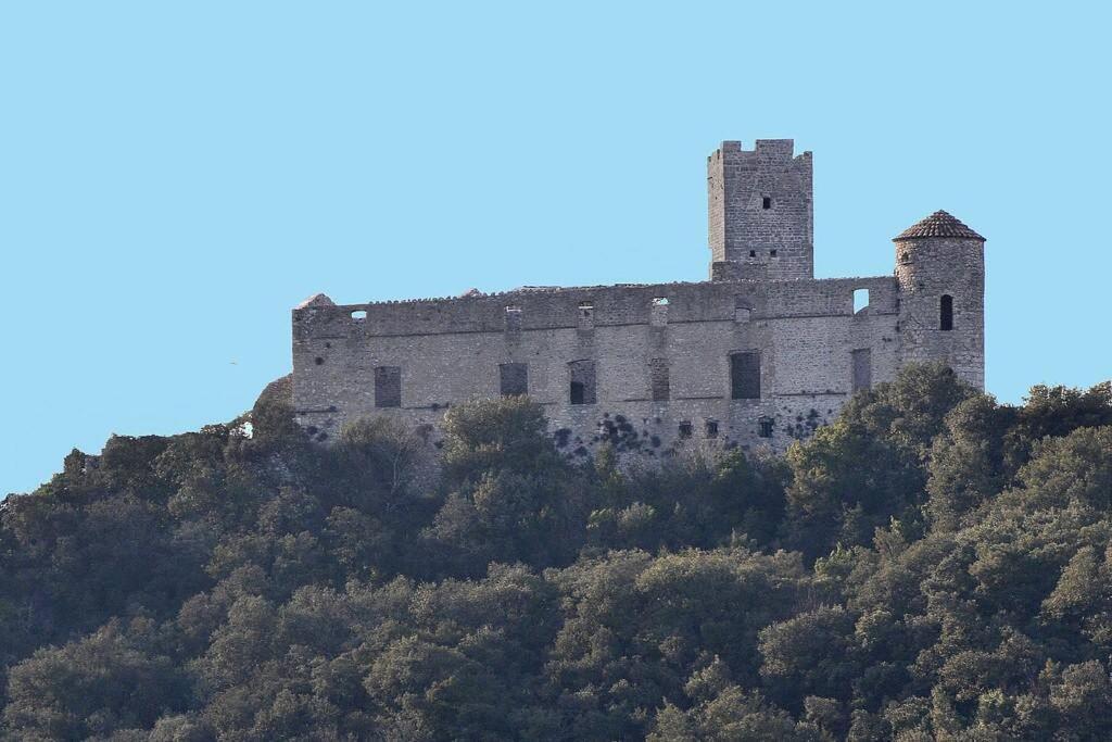 Anduze Gite Les Pins Au "Petit Clos Des Cigales" Massillargues-Attuech 외부 사진