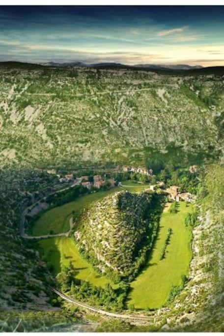 Anduze Gite Les Pins Au "Petit Clos Des Cigales" Massillargues-Attuech 외부 사진